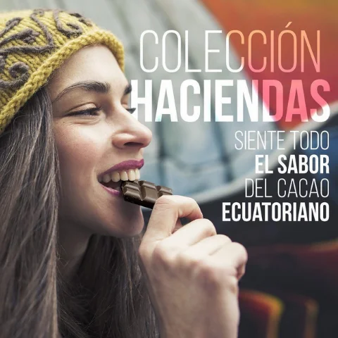 PACK x 5 - Barras de chocolate  surtido - Single Origin - Imagen 3